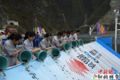 四川雅砻江流域连续16年增殖放流鱼类累计超30